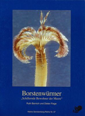Borstenwürmer von Barnich,  Ruth, Fiege,  Dieter