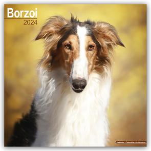 Borzoi – Russischer Wolfshund 2024 – 16-Monatskalender