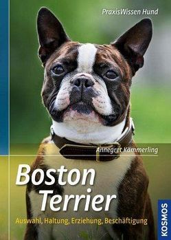Boston Terrier von Kämmerling,  Annegret