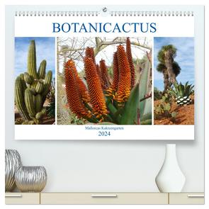 BOTANICACTUS Mallorcas Kakteengarten (hochwertiger Premium Wandkalender 2024 DIN A2 quer), Kunstdruck in Hochglanz von Kruse,  Gisela