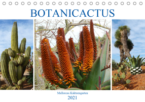 BOTANICACTUS Mallorcas Kakteengarten (Tischkalender 2021 DIN A5 quer) von Kruse,  Gisela