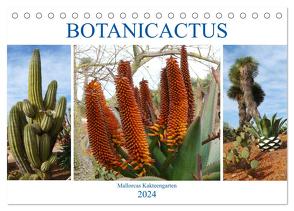 BOTANICACTUS Mallorcas Kakteengarten (Tischkalender 2024 DIN A5 quer), CALVENDO Monatskalender von Kruse,  Gisela