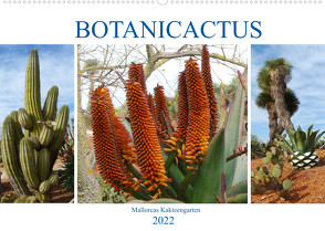 BOTANICACTUS Mallorcas Kakteengarten (Wandkalender 2022 DIN A2 quer) von Kruse,  Gisela