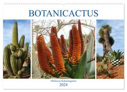 BOTANICACTUS Mallorcas Kakteengarten (Wandkalender 2024 DIN A2 quer), CALVENDO Monatskalender von Kruse,  Gisela