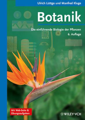 Botanik – Die einführende Biologie der Pflanzen von Kluge,  Manfred, Lüttge,  Ulrich
