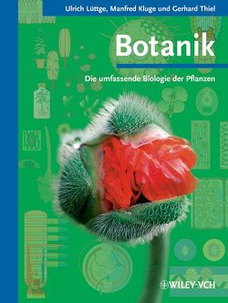 Botanik – Die umfassende Biologie der Pflanzen von Kluge,  Manfred, Lüttge,  Ulrich, Thiel,  Gerhard