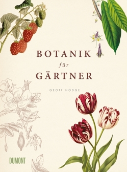 Botanik für Gärtner von Hodge,  Geoff, Warmuth,  Susanne, Wink,  Coralie