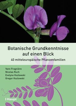 Botanische Grundkenntnisse auf einen Blick von Fragnière,  Yann, Kozlowski,  Evelyne, Kozlowski,  Gregor, Ruch,  Nicolas