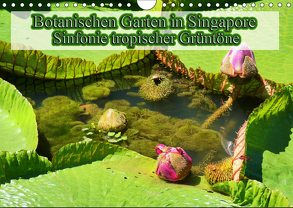 Botanischen Garten in Singapore – Sinfonie tropischer Grüntöne (Wandkalender 2019 DIN A4 quer) von Müller,  Erika