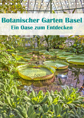 Botanischer Garten Basel – Eine Oase zum Entdecken (Tischkalender 2022 DIN A5 hoch) von Brunner-Klaus,  Liselotte