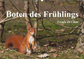 Boten des Frühlings (Wandkalender 2019 DIN A2 quer) von Di Chito,  Ursula