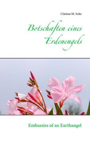 Botschaften eines Erdenengels von Seite,  Clarissa M.