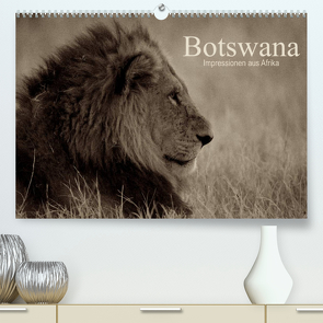 Botswana – Impressionen aus Afrika (Premium, hochwertiger DIN A2 Wandkalender 2023, Kunstdruck in Hochglanz) von Franz Josef Hering,  Dr.