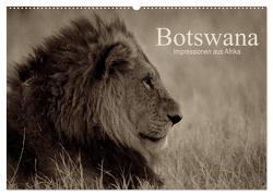 Botswana – Impressionen aus Afrika (Wandkalender 2024 DIN A2 quer), CALVENDO Monatskalender von Franz Josef Hering,  Dr.