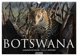 Botswana – Landschaft und Tierwelt (Wandkalender 2024 DIN A3 quer), CALVENDO Monatskalender von Bruhn,  Olaf