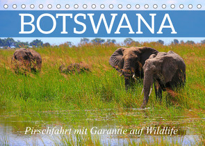 Botswana- Pirschfahrt mit Garantie auf Wildlife (Tischkalender 2023 DIN A5 quer) von Werner Altner,  Dr.