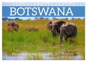 Botswana- Pirschfahrt mit Garantie auf Wildlife (Tischkalender 2024 DIN A5 quer), CALVENDO Monatskalender von Werner Altner,  Dr.