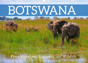 Botswana- Pirschfahrt mit Garantie auf Wildlife (Wandkalender 2023 DIN A3 quer) von Werner Altner,  Dr.
