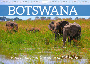 Botswana- Pirschfahrt mit Garantie auf Wildlife (Wandkalender 2023 DIN A4 quer) von Werner Altner,  Dr.