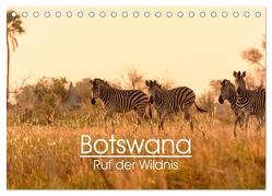 Botswana – Ruf der Wildnis (Tischkalender 2024 DIN A5 quer), CALVENDO Monatskalender von Maria-Lisa Stelzel,  Mag.