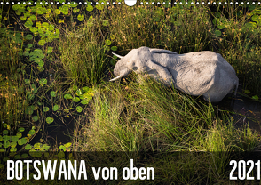 Botswana von oben (Wandkalender 2021 DIN A3 quer) von krueger-photography