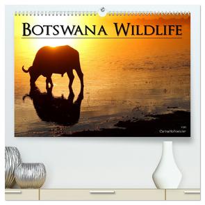 Botswana Wildlife (hochwertiger Premium Wandkalender 2024 DIN A2 quer), Kunstdruck in Hochglanz von Hofmeister,  Carina