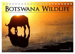 Botswana Wildlife (Tischkalender 2024 DIN A5 quer), CALVENDO Monatskalender von Hofmeister,  Carina
