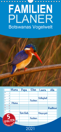 Botswanas Vogelwelt – Familienplaner hoch (Wandkalender 2021 , 21 cm x 45 cm, hoch) von Voss,  Michael