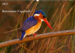Botswanas Vogelwelt (Wandkalender 2021 DIN A2 quer) von Voss,  Michael