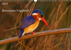 Botswanas Vogelwelt (Wandkalender 2021 DIN A3 quer) von Voss,  Michael