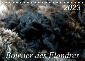 Bouvier des Flandres (Tischkalender 2023 DIN A5 quer) von Milau,  Susan