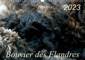 Bouvier des Flandres (Wandkalender 2023 DIN A3 quer) von Milau,  Susan