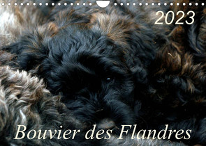 Bouvier des Flandres (Wandkalender 2023 DIN A4 quer) von Milau,  Susan