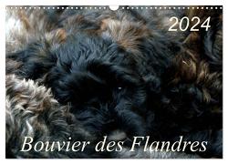 Bouvier des Flandres (Wandkalender 2024 DIN A3 quer), CALVENDO Monatskalender von Milau,  Susan