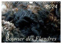 Bouvier des Flandres (Wandkalender 2024 DIN A4 quer), CALVENDO Monatskalender von Milau,  Susan