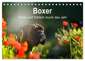 Boxer Frech und fröhlich durch das Jahr (Tischkalender 2024 DIN A5 quer), CALVENDO Monatskalender von Janetzek,  Yvonne