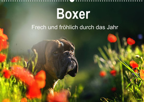 Boxer Frech und fröhlich durch das Jahr (Wandkalender 2022 DIN A2 quer) von Janetzek,  Yvonne