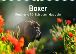 Boxer Frech und fröhlich durch das Jahr (Wandkalender 2023 DIN A2 quer) von Janetzek,  Yvonne