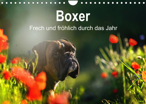 Boxer Frech und fröhlich durch das Jahr (Wandkalender 2023 DIN A4 quer) von Janetzek,  Yvonne