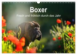 Boxer Frech und fröhlich durch das Jahr (Wandkalender 2024 DIN A3 quer), CALVENDO Monatskalender von Janetzek,  Yvonne