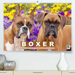 Boxer: Kulleraugen und Knubbelnase (Premium, hochwertiger DIN A2 Wandkalender 2023, Kunstdruck in Hochglanz) von CALVENDO