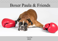 Boxerhündin Paula and Friends (Tischkalender 2022 DIN A5 quer) von Elbe,  Frank