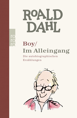 Boy / Im Alleingang von Dahl,  Roald, Quidam,  Adam, Stiehl,  Hermann