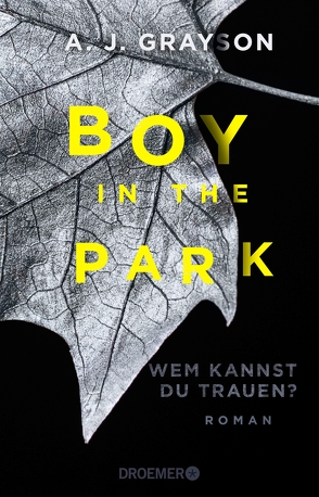 Boy in the Park – Wem kannst du trauen? von Ebnet,  Karl-Heinz, Grayson,  A.J.