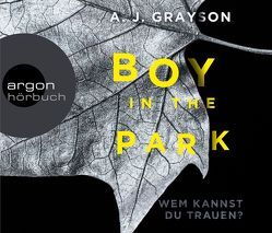Boy in the Park – Wem kannst du trauen? von Ebnet,  Karl-Heinz, Grayson,  A.J., Nathan,  David