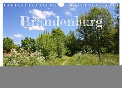 Brandenburg – schöne Ausflugsziele südlich von Berlin (Wandkalender 2024 DIN A4 quer), CALVENDO Monatskalender von Kruse,  Gisela