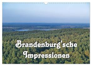 Brandenburg’sche Impressionen (Wandkalender 2024 DIN A3 quer), CALVENDO Monatskalender von Morgenroth (petmo),  Peter