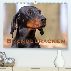 Brandlbracken (Premium, hochwertiger DIN A2 Wandkalender 2023, Kunstdruck in Hochglanz) von Berg,  Martina