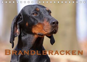 Brandlbracken (Tischkalender 2019 DIN A5 quer) von Berg,  Martina