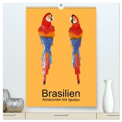 Brasilien – Amazonien bis Iguaçu (hochwertiger Premium Wandkalender 2024 DIN A2 hoch), Kunstdruck in Hochglanz von Rudolf Blank,  Dr.